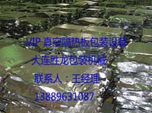 高级VIP真空隔热板包装设备/胜龙包装机械